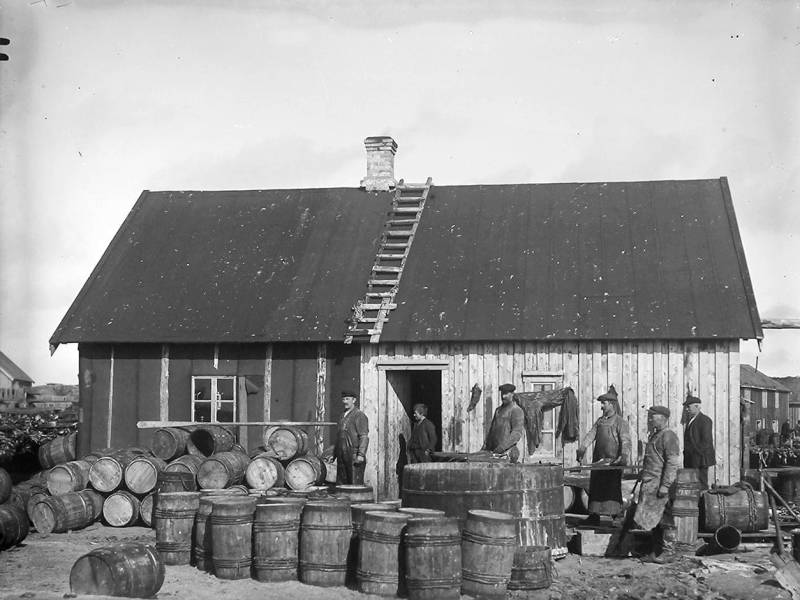 Gutting the fish in front of the rorbu 1910-1920
